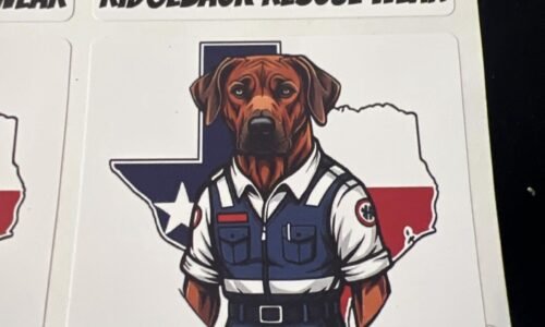 WhatsApp Image 2025-10-03 at 00.39.15(1)